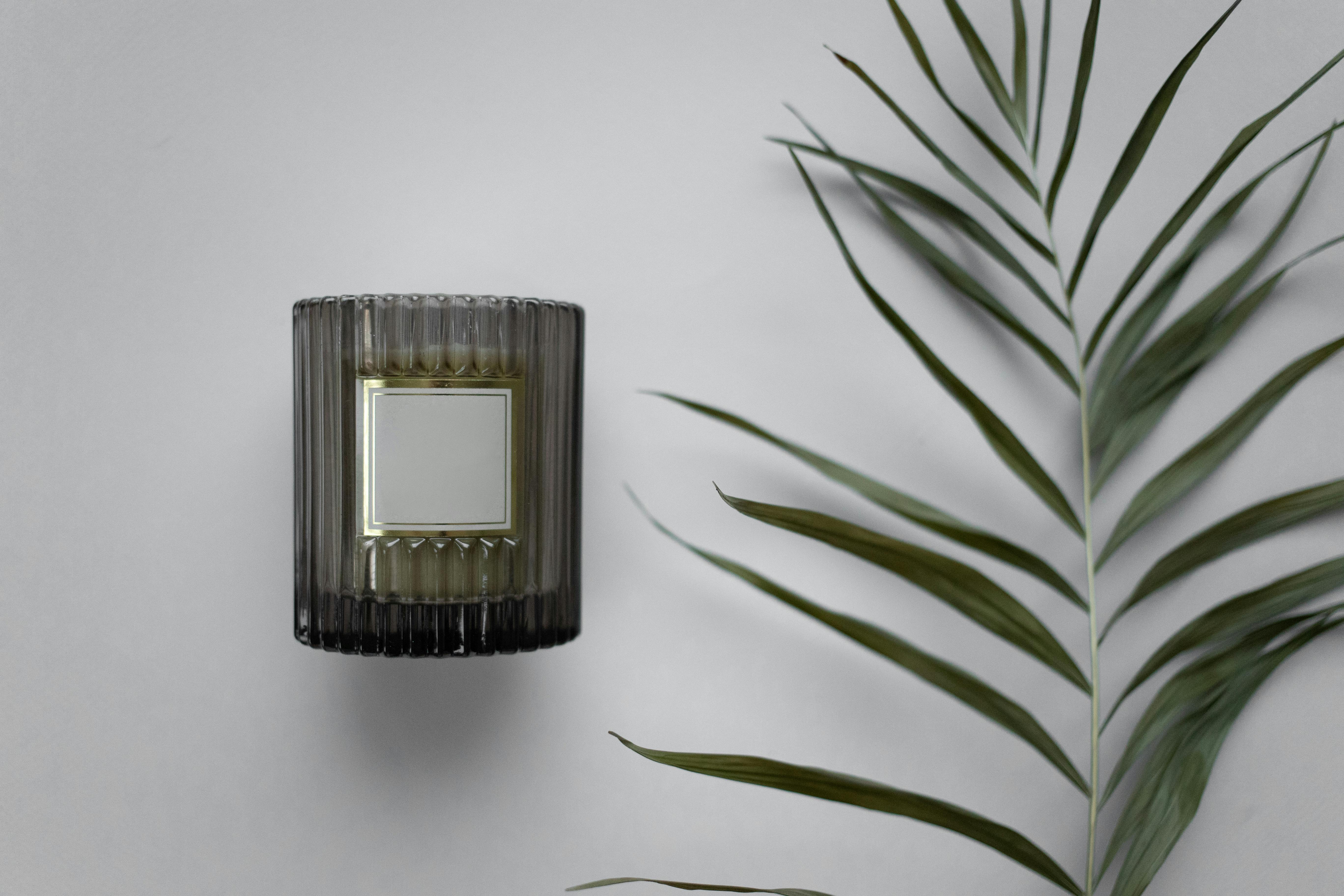 A Candle and a Plant on a White Background · Free Stock Photo