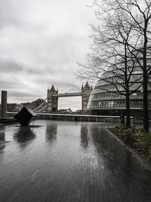 The London City Hall and Tower Bridge