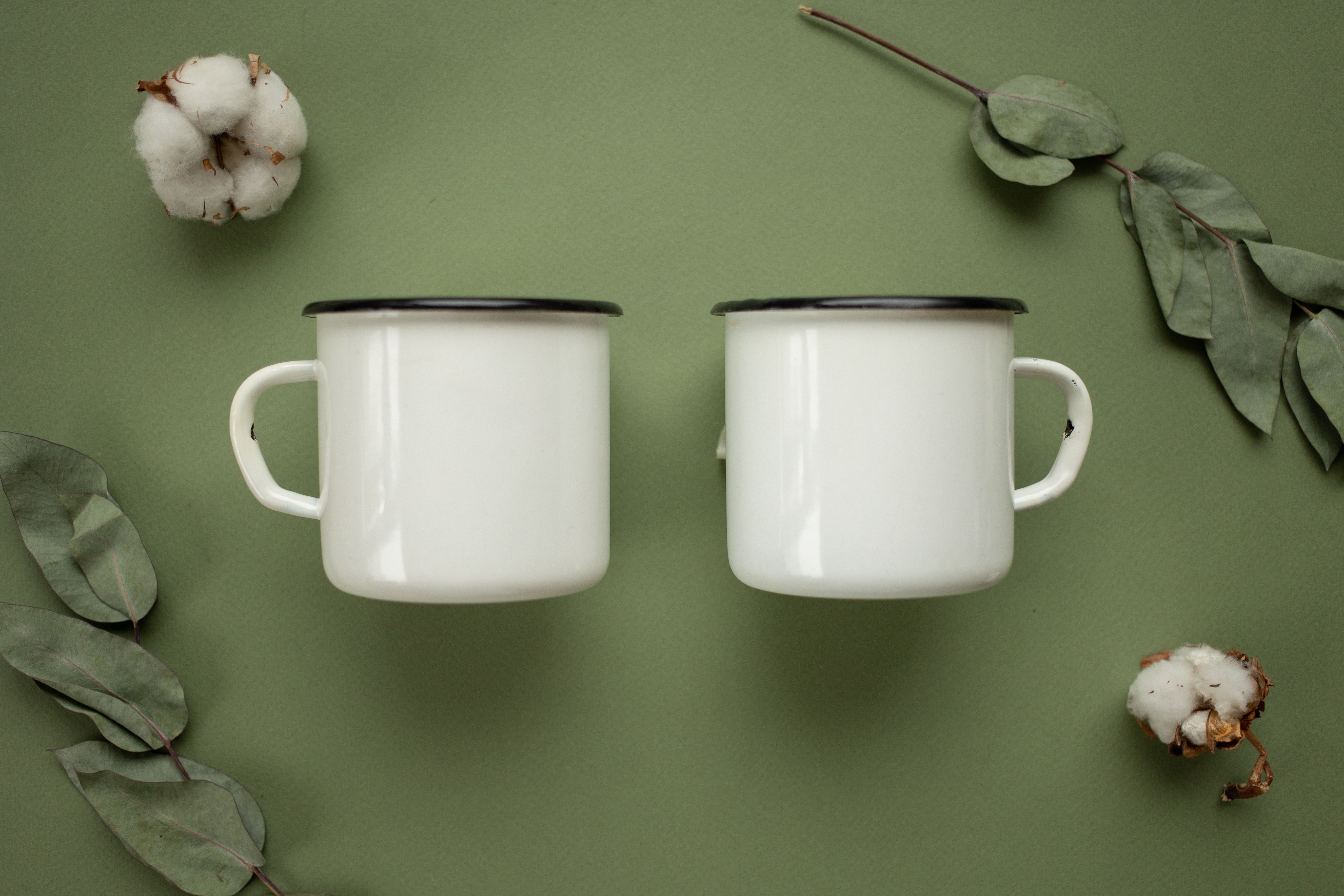 Top view of two white mugs with eucalyptus leaves and cotton on a green background.