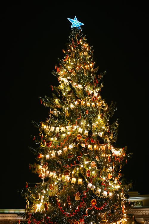 Free A grand Christmas tree adorned with lights and decorations shining brightly at night. Stock Photo