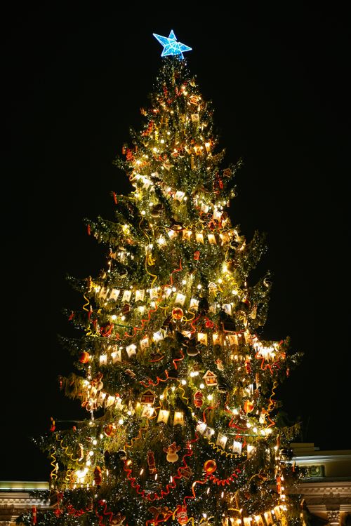 Free A beautifully decorated Christmas tree adorned with lights and ornaments stands against a dark sky. Stock Photo