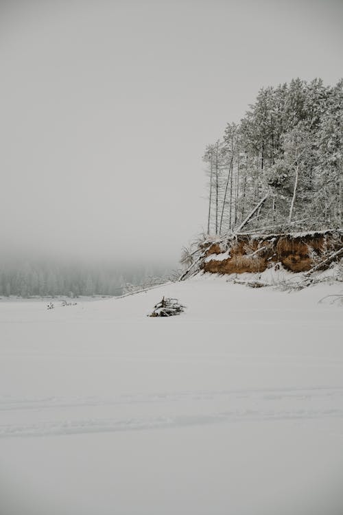 A Photo of a Snow Covered Landscape