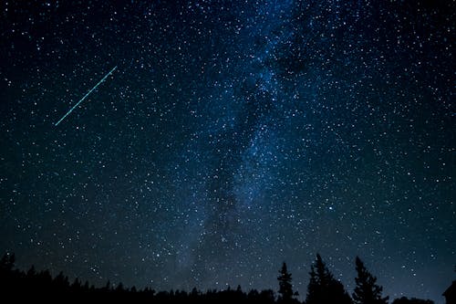 Silhouet Van Bomen Tijdens De Nacht