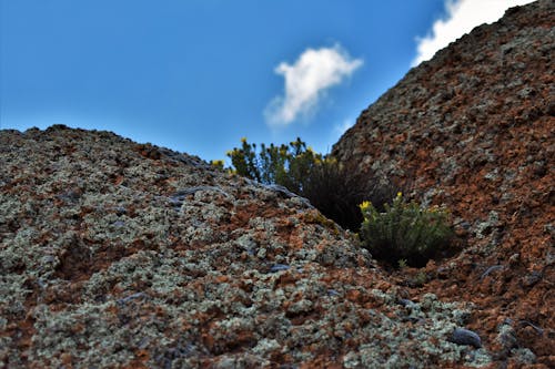 Gratis stockfoto met Bemoste rotsen, berg, blauwe lucht