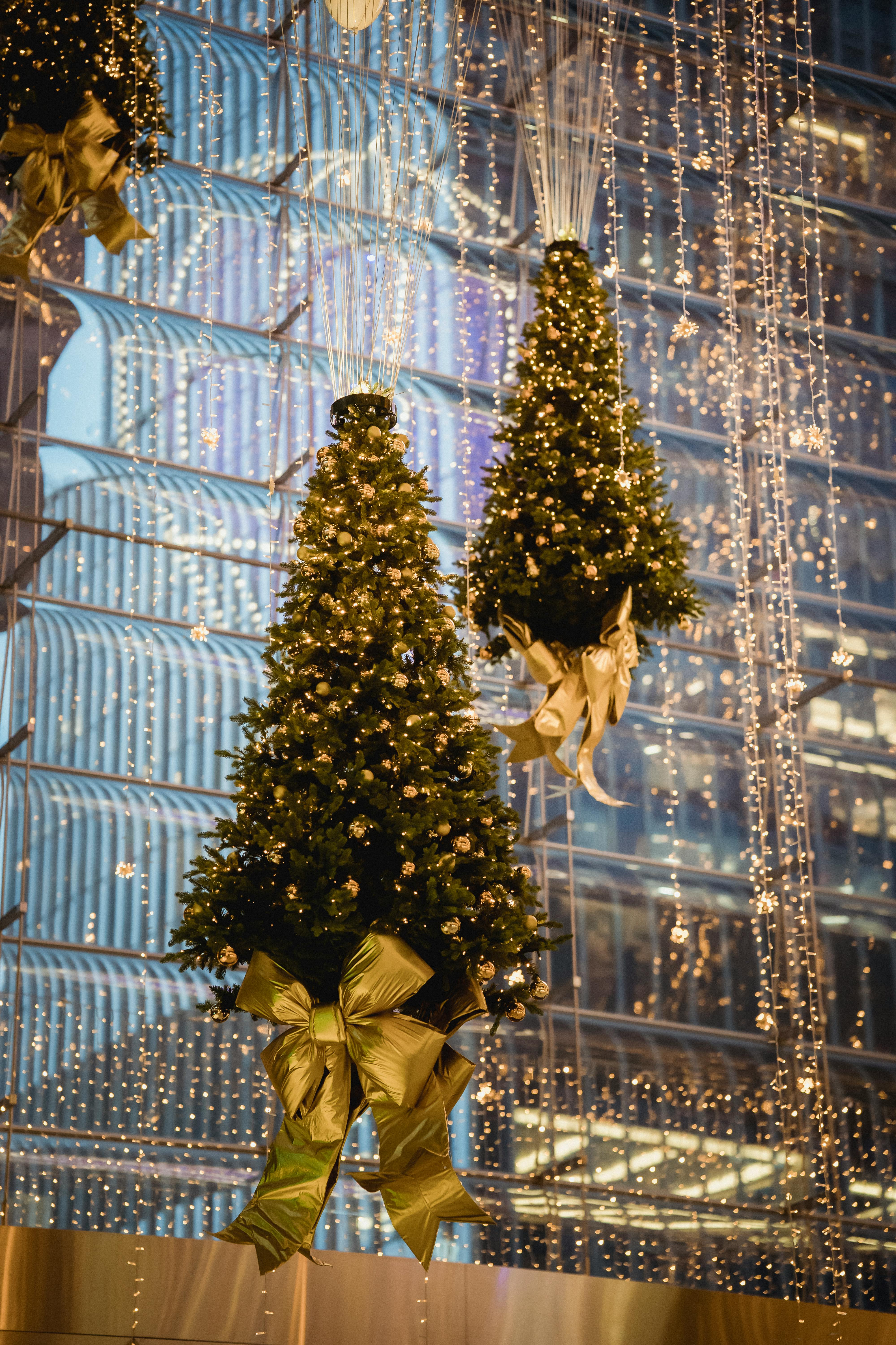 christmas trees with garlands hanging on ropes near building