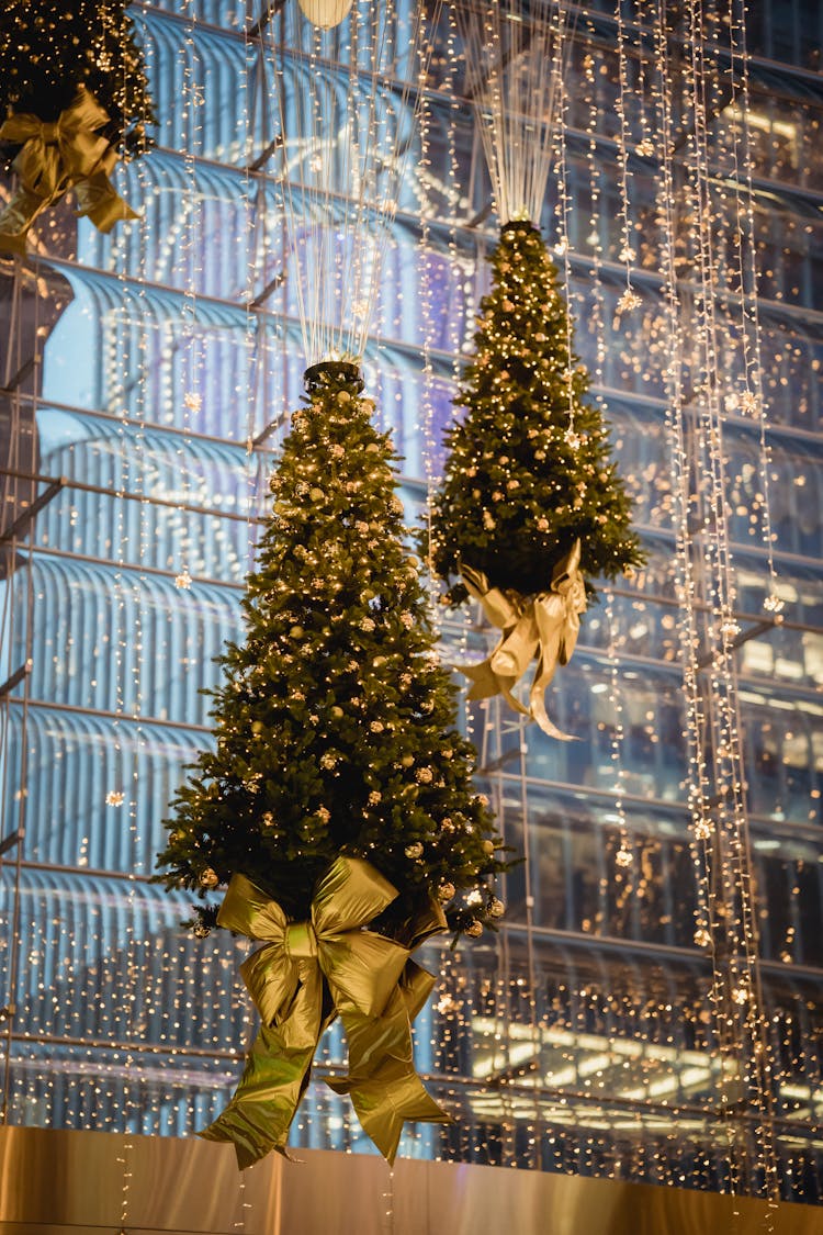 Christmas Trees With Garlands Hanging On Ropes Near Building