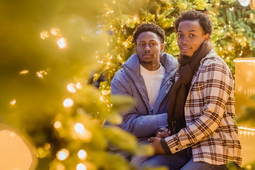 Romantic African American man hugging with homosexual partner and looking at camera while sitting amidst Christmas trees with glowing lights