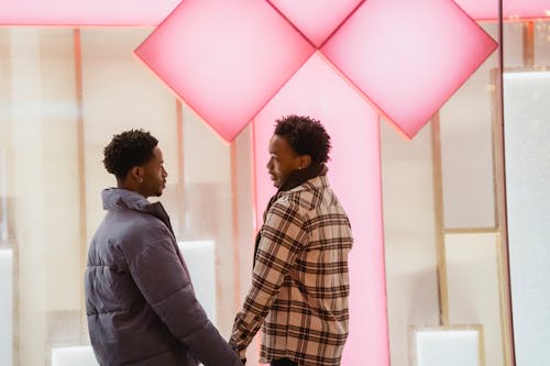 Romantic black gays on street near building