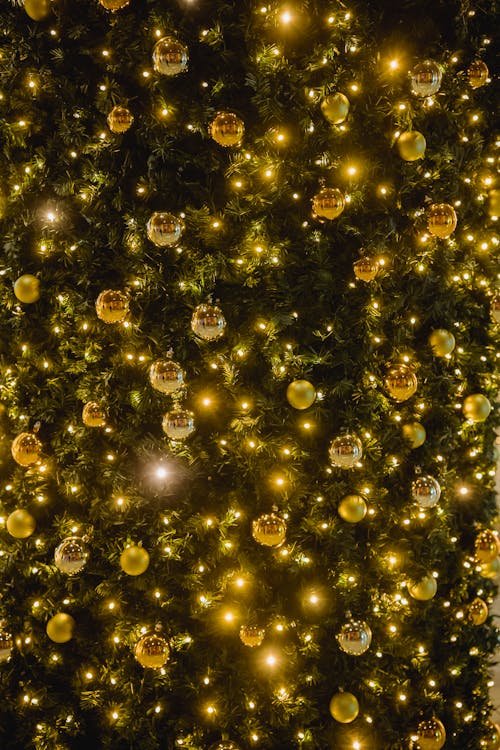 Shiny bright garland with golden shimmering baubles on green Christmas tree on festive event