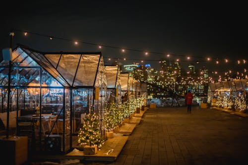 Δωρεάν στοκ φωτογραφιών με cafe, navidad, άνθρωπος