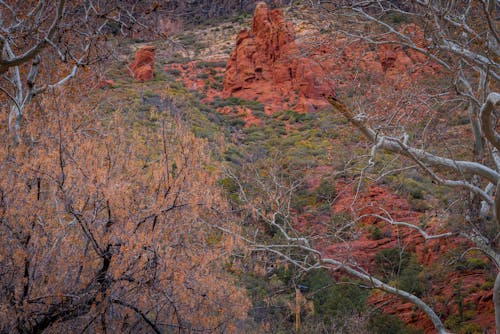 下落, 亞利桑那州, 公园 的 免费素材图片