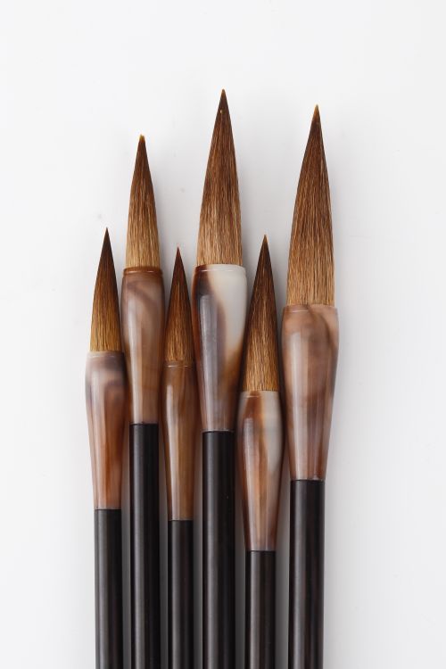 Free Close-up of six traditional ink brushes neatly arranged on a white background. Stock Photo