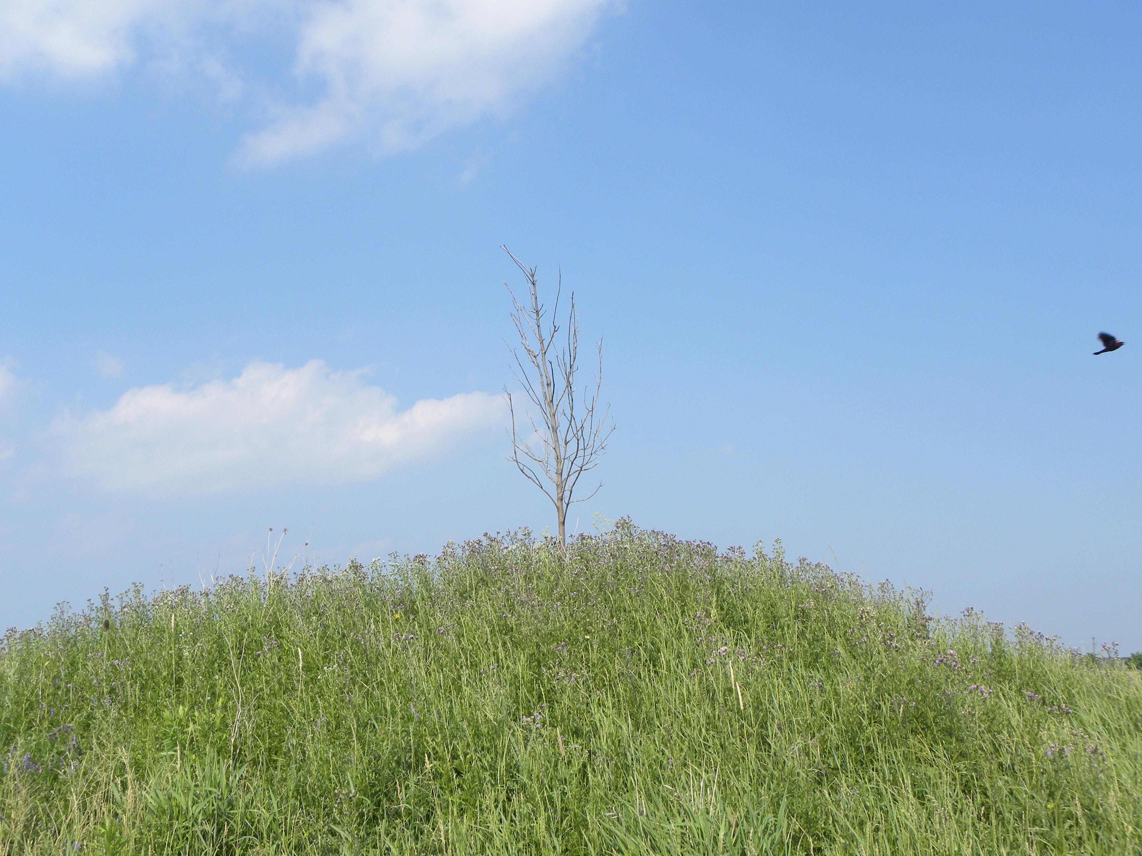 Modern bedroom with bedside table