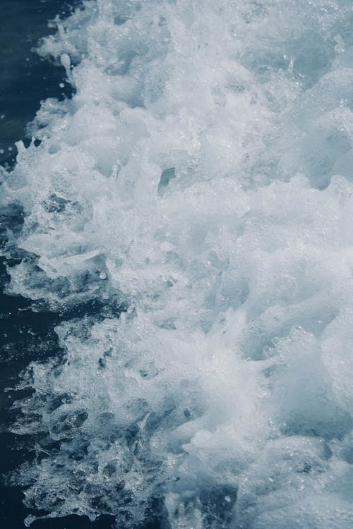 Free Close-up of Foamy Salwater  Stock Photo