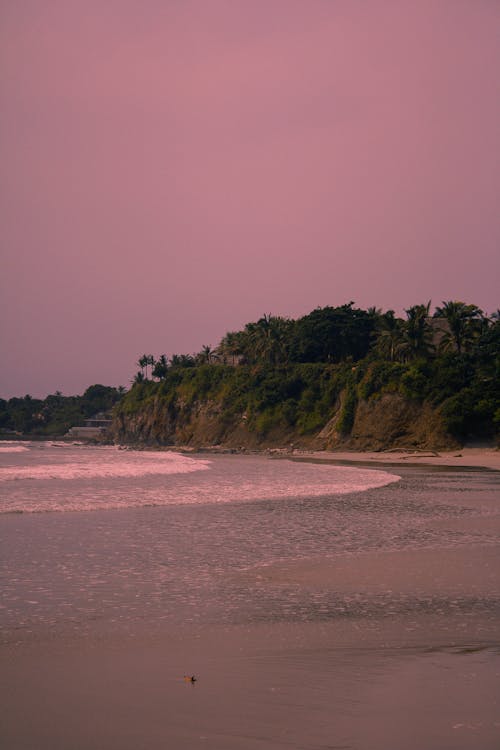 Free Scenic Shot of a Beach Stock Photo