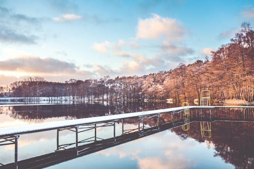 Free Winter lake in the sunny day Stock Photo