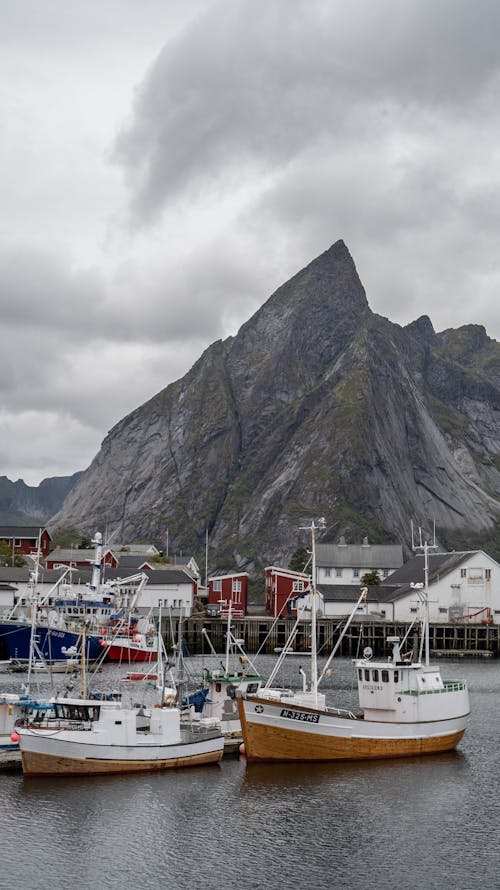 bezplatná Základová fotografie zdarma na téma čluny, fjord, hora Základová fotografie