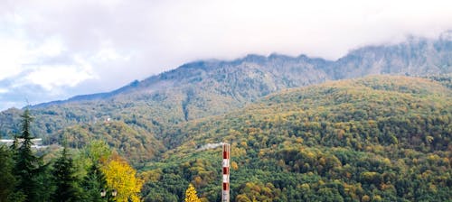 Kostnadsfri bild av berg, dimma, frodig