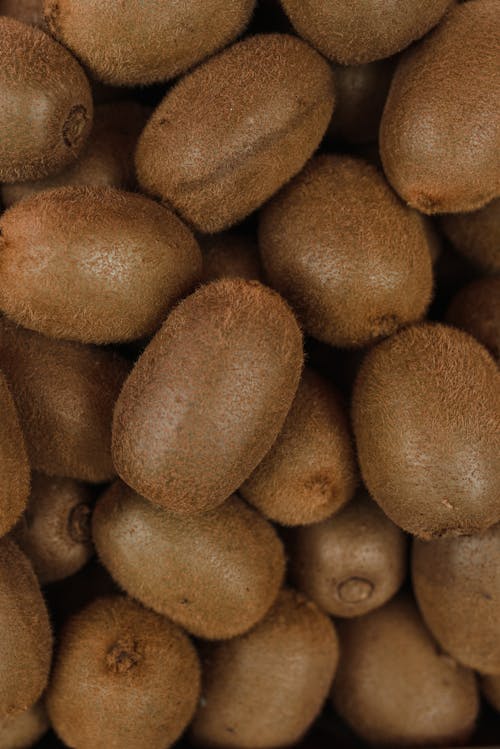 Overhead Shot of Kiwi Fruits