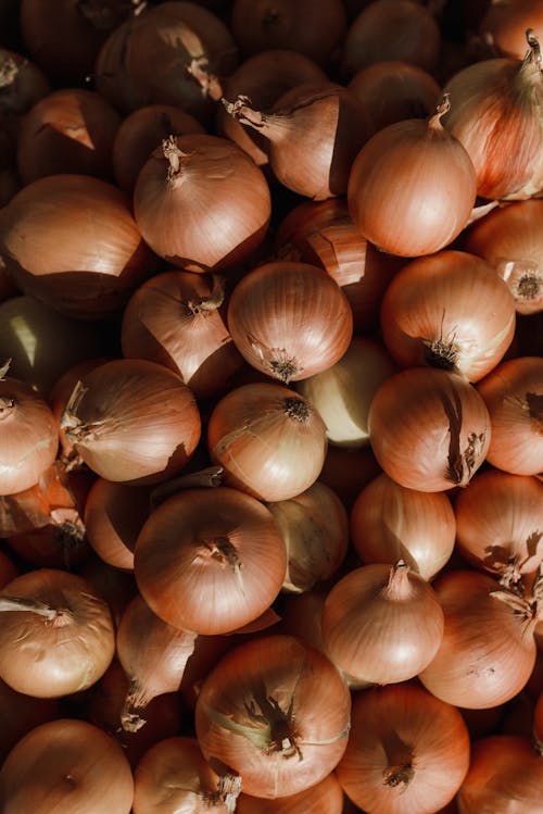 Overhead Shot of Onions