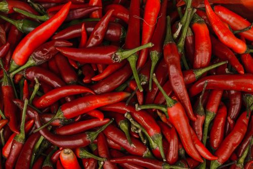 Free Close-up of vibrant red chili peppers showcasing texture and freshness. Stock Photo