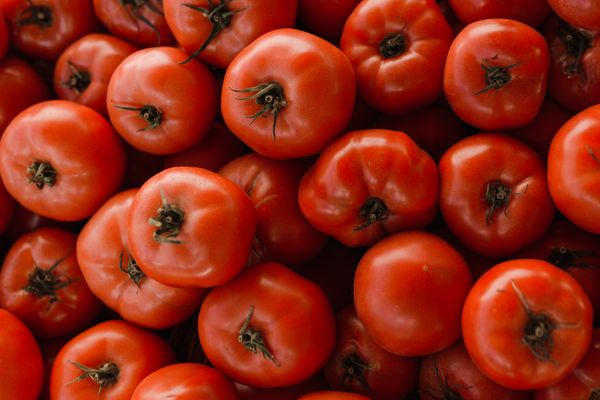 Sun-Ripened Tomatoes
