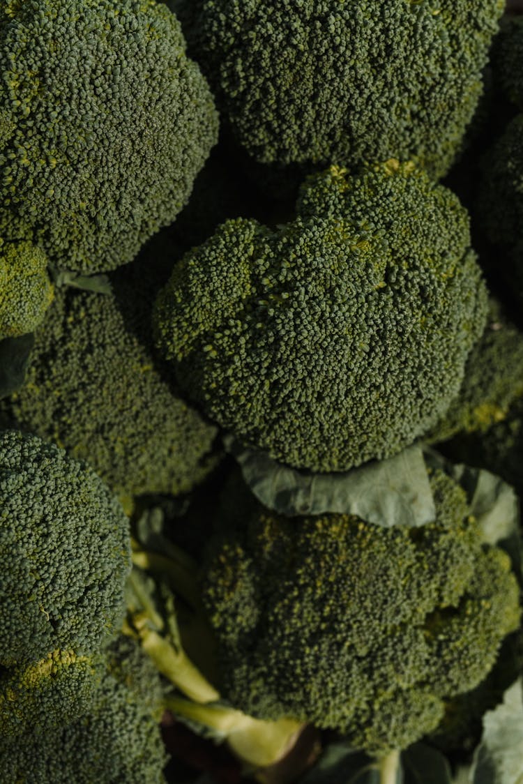 Overhead Shot Of Broccoli