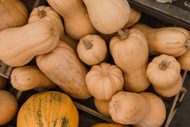 Overhead Shot Of Butternut Squash