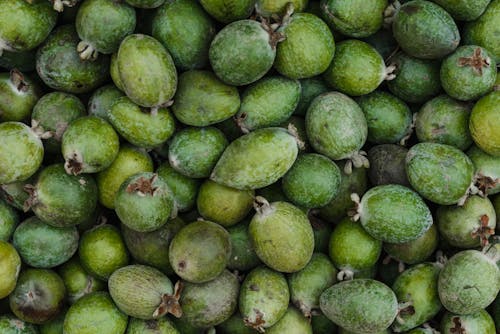 Overhead Shot of Feijoas