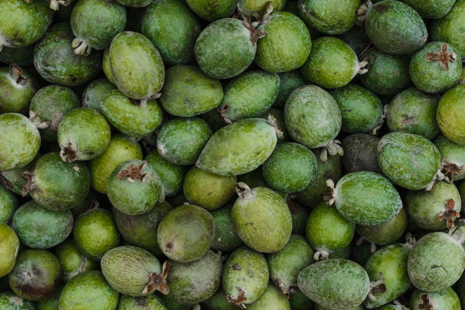 Photo by Arina Krasnikova on Pexels A vibrant top-down image showcasing a pile of fresh green feijoas, highlighting their natural texture.