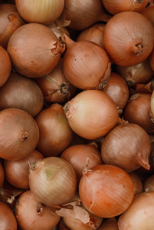 Close-Up Shot of Onions