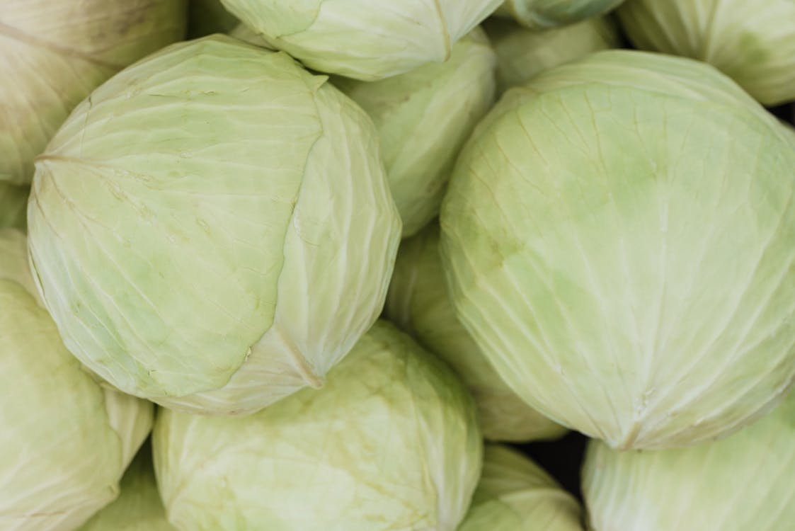 Green Cabbages in Close-up Photography