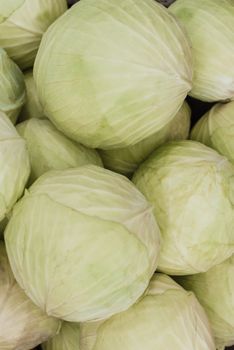Cabbage — Green