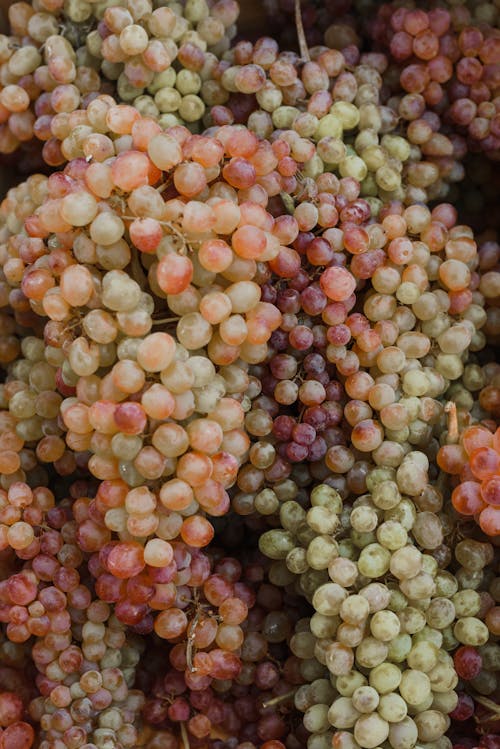 Free Close-Up Shot of Fresh Grapes Stock Photo