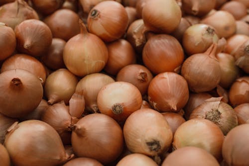 Moist Corners? Keep Onions Sprout-Free at Home