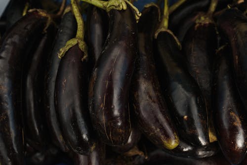 Close-Up Shot of Eggplants