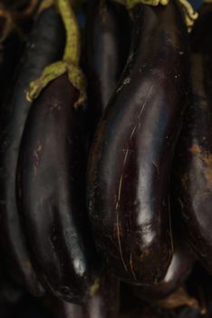 Eggplant — Berenjena