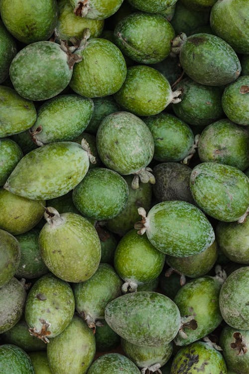 Overhead Shot of Feijoas