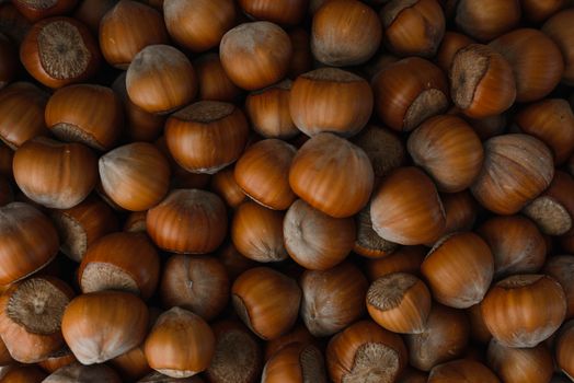 Close-Up Shot of Hazelnuts