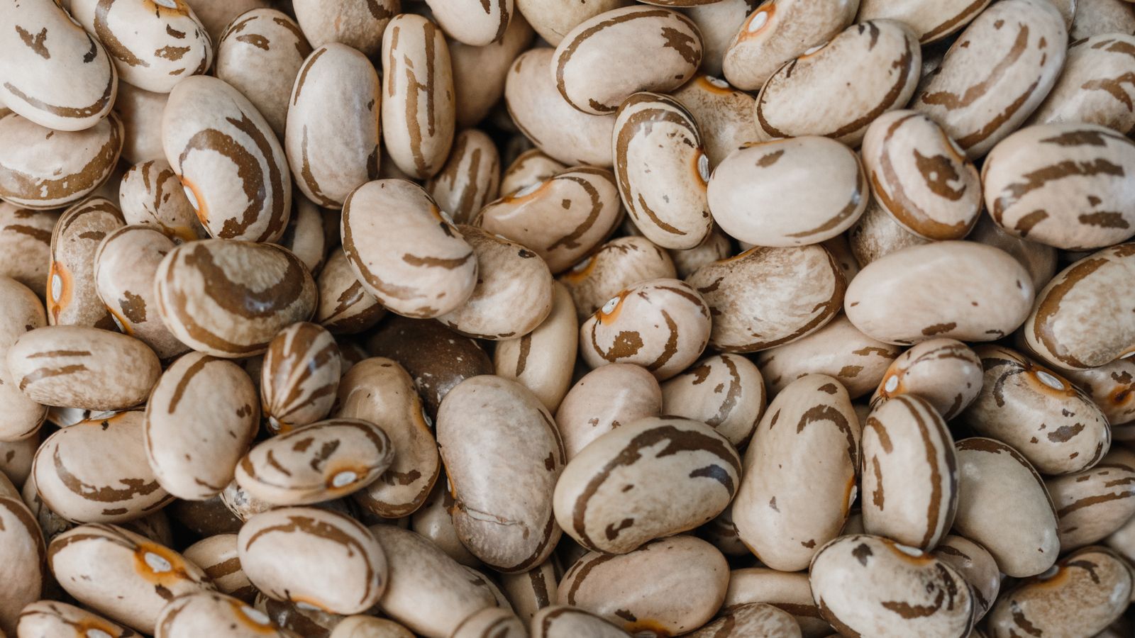 Close-up of organic pinto beans showing their speckled pattern — photo by Arina Krasnikova on Pexels Close-up of organic pinto beans showing their speckled pattern