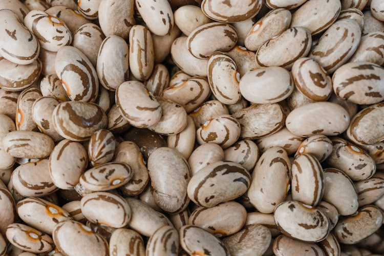 Close Up Shot Of A Pinto Beans