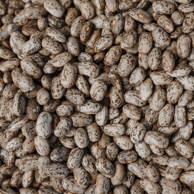 Slow Cooker Pinto Beans with Epazote and Jalapeño