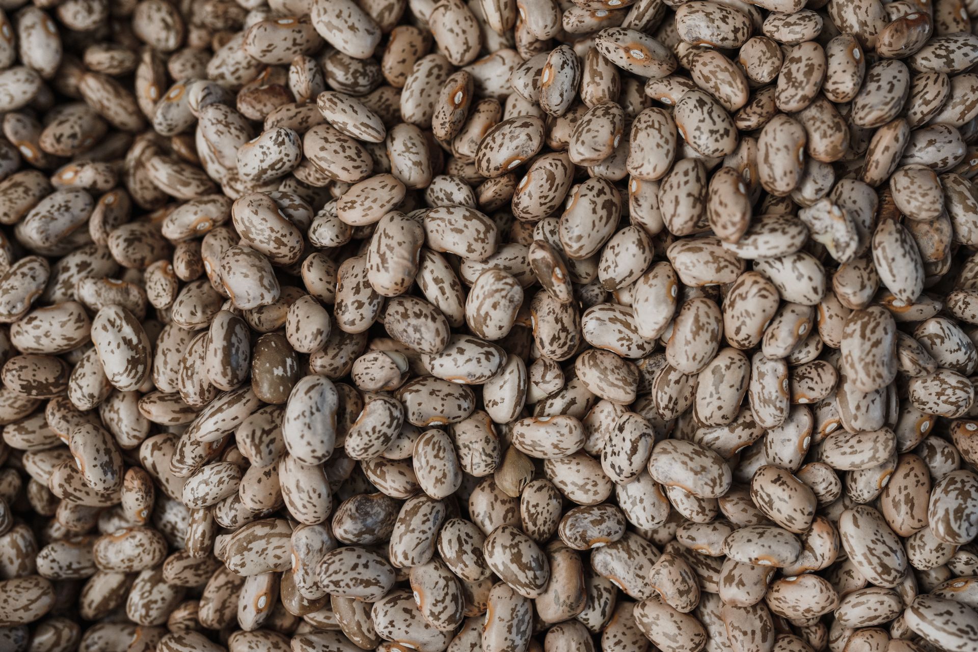 Overhead Shot of Beans