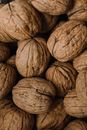 Close-Up Shot of Walnuts