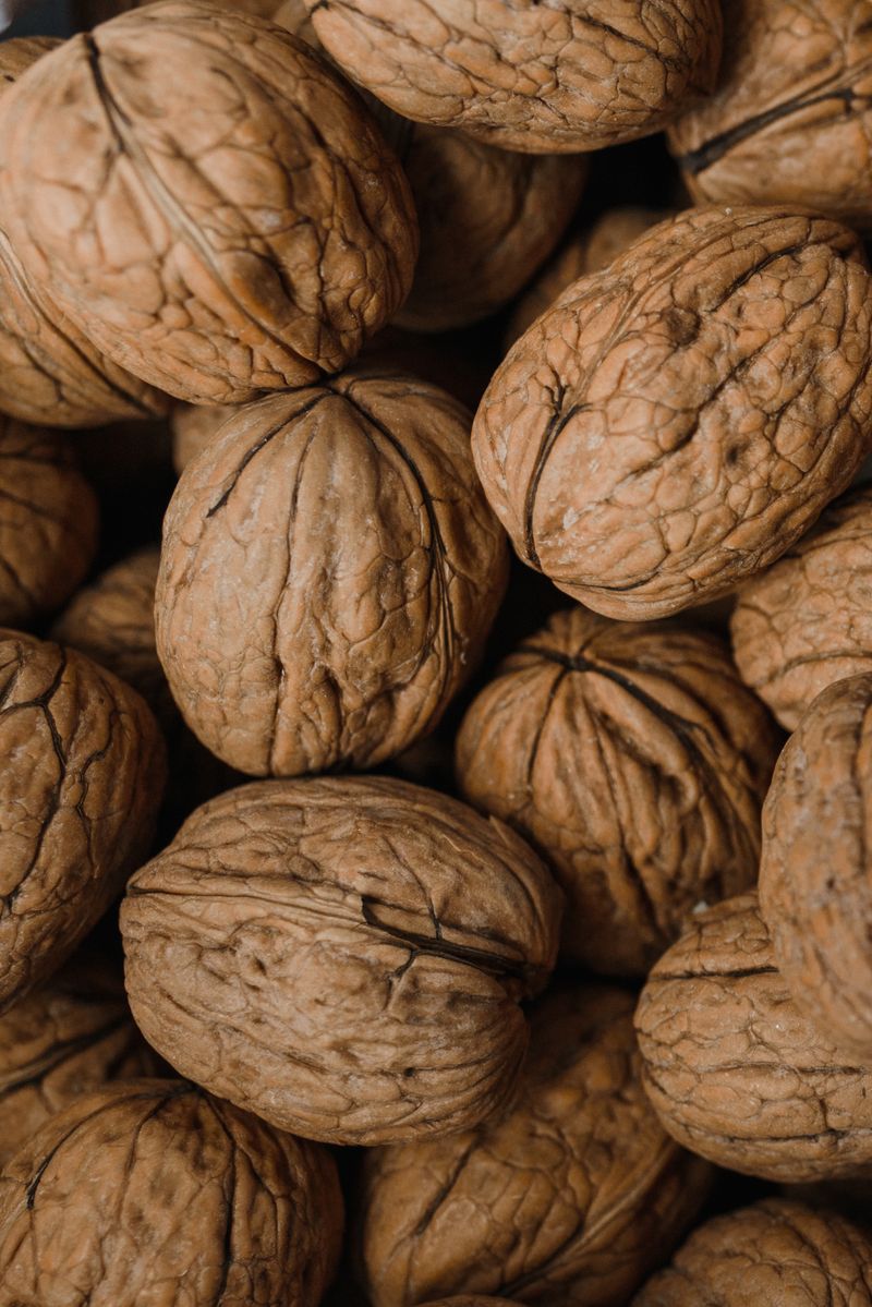 Nueces peladas, fuente natural de ácidos grasos esenciales