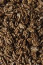 Close-Up Shot of Walnuts