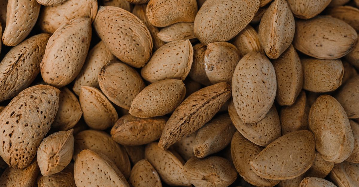 Detailed photograph of raw almonds with shells, highlighting natural texture and organic appeal. - Evidence evidence guide for carob cholesterol randomized trial