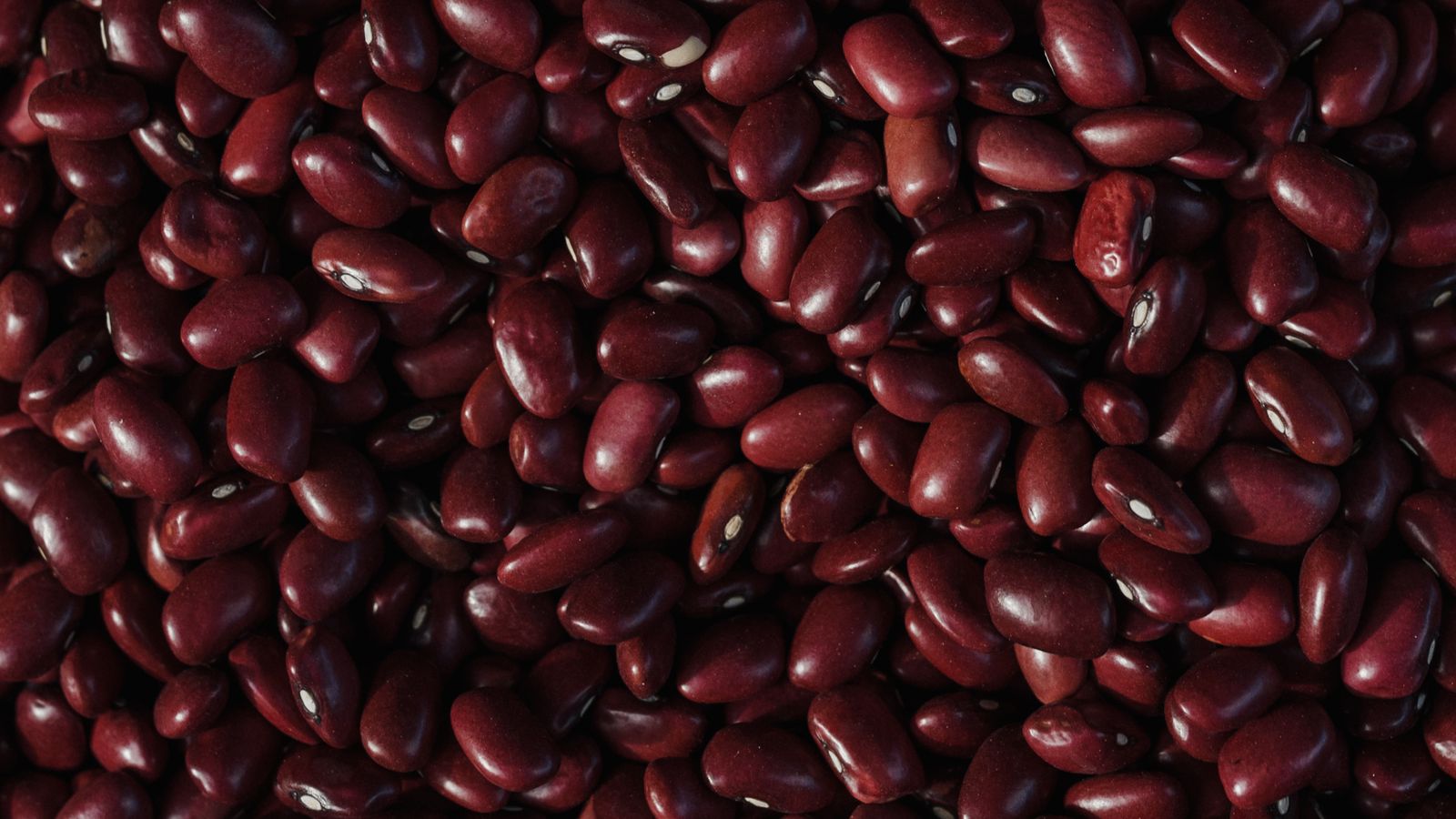 Overhead shot of organic red kidney beans — photo by Arina Krasnikova on Pexels Overhead shot of organic red kidney beans