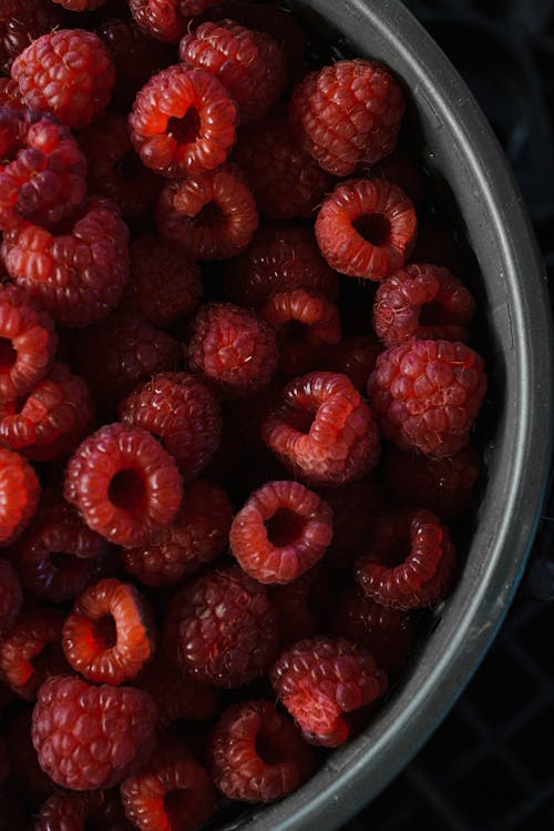 무료 파란색 플라스틱 용기에 빨간 딸기 스톡 사진