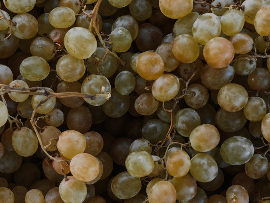What fruit has a lot of melatonin?
